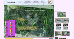 Desktop Screenshot of chatinoux.hebfree.org
